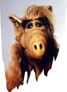 ALF